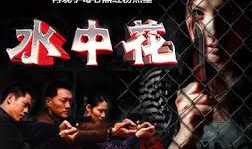 红蜘蛛电视剧,权谋与爱情的纠葛